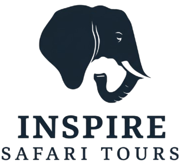 png__1_-removebg-preview