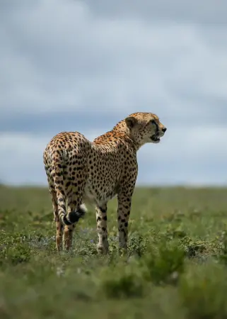 Untitled design (51)