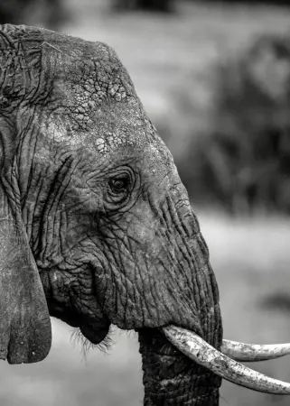 Untitled design (52)