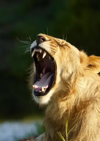 Untitled design (53)