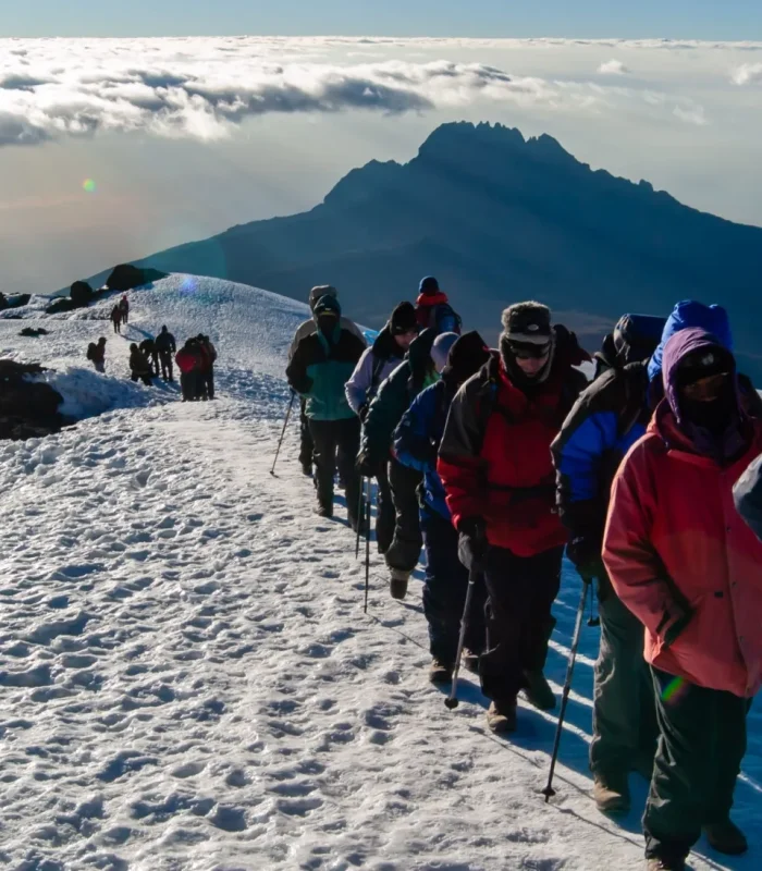 climbing-mount-kilimanjaro-scaled-1